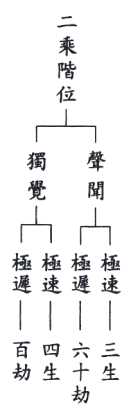 53 (1)