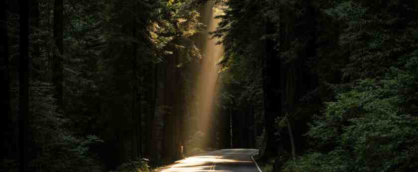 Bg i79