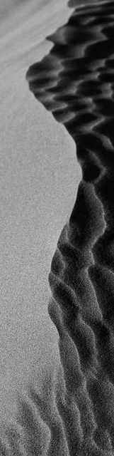 Bg q23