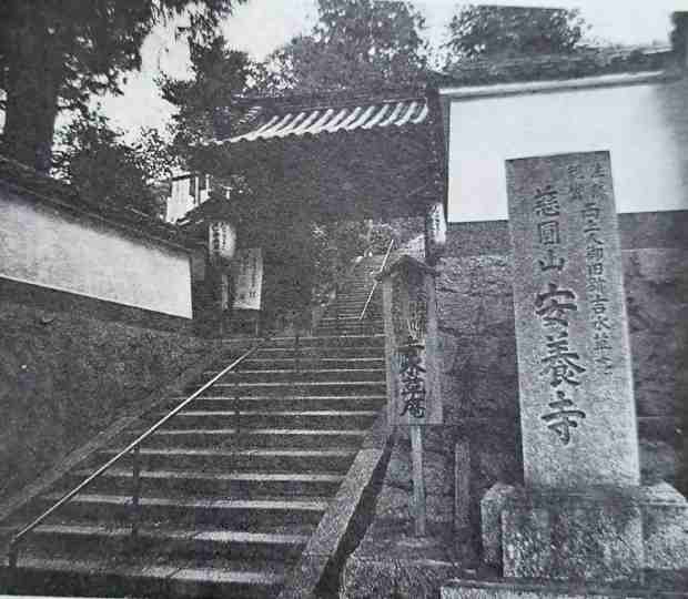 P36 1