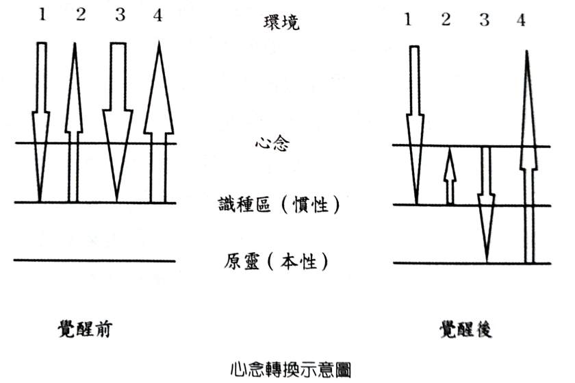 P59 (2)