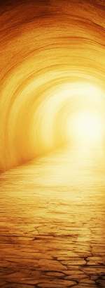 Jplenio tunnel 7484734 1280 (1)