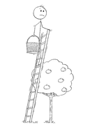 志