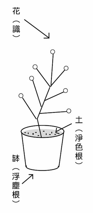 浮根塵