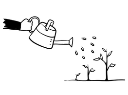 澆水 Removebg Preview